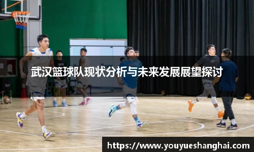 武汉篮球队现状分析与未来发展展望探讨